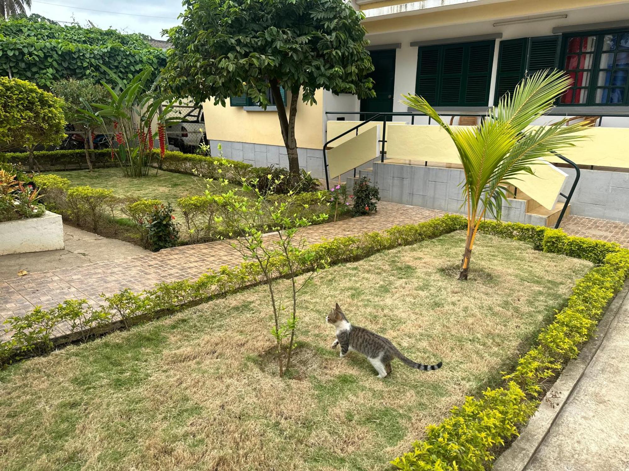 J Nova Lda Apartment Sao Tome Ngoại thất bức ảnh